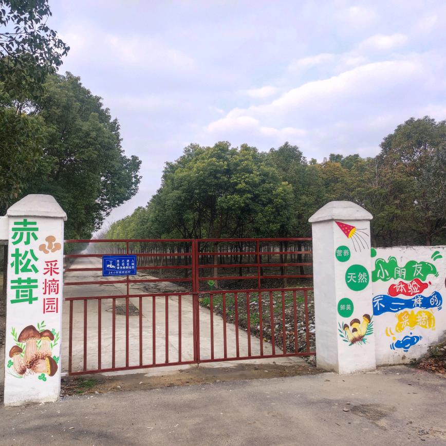 🍄斜塔山珍🍄