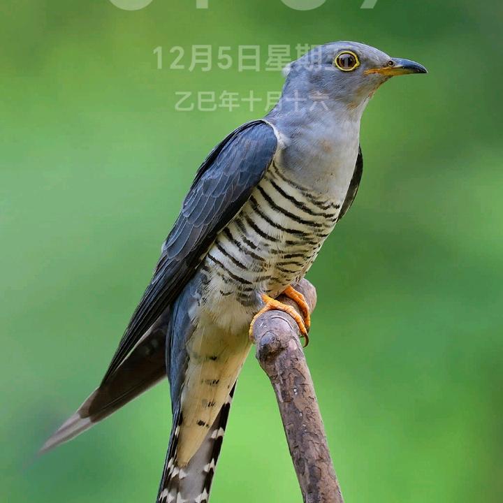 用户52469578412548