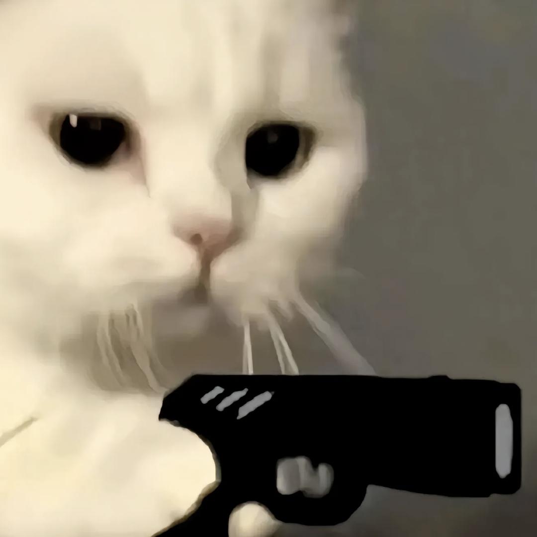 兜简寒