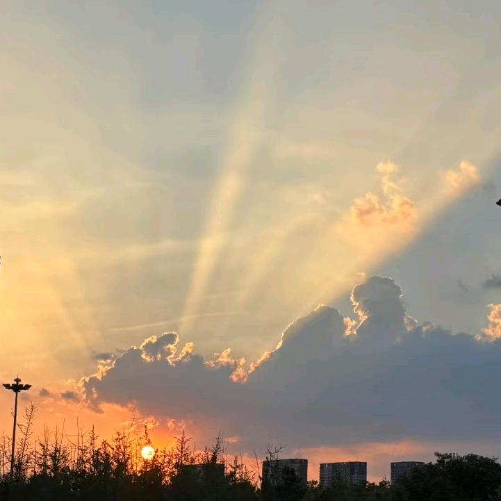 清忌