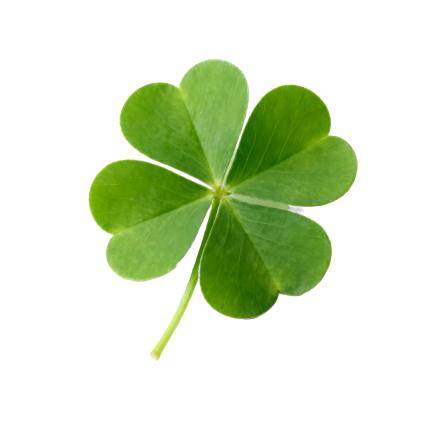 ღ᭄人美心善ღ᭄