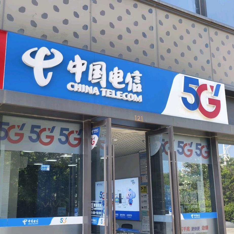中国电信(江宁融信铂岸中心店)