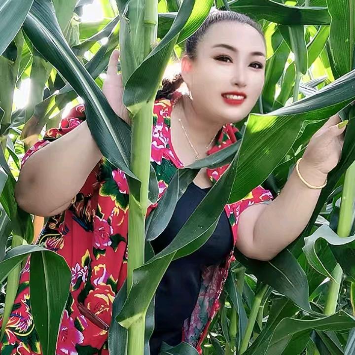 威姐骑驴