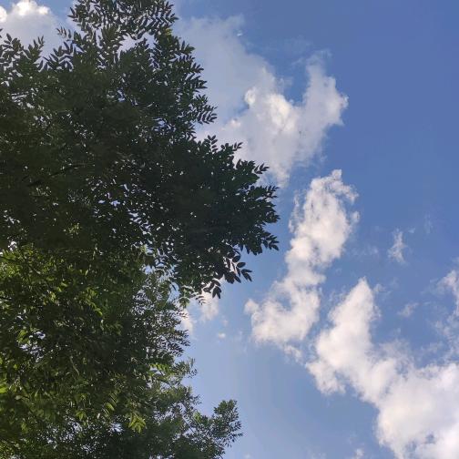 💕临泽佰诗奴女鞋&期格男鞋💋