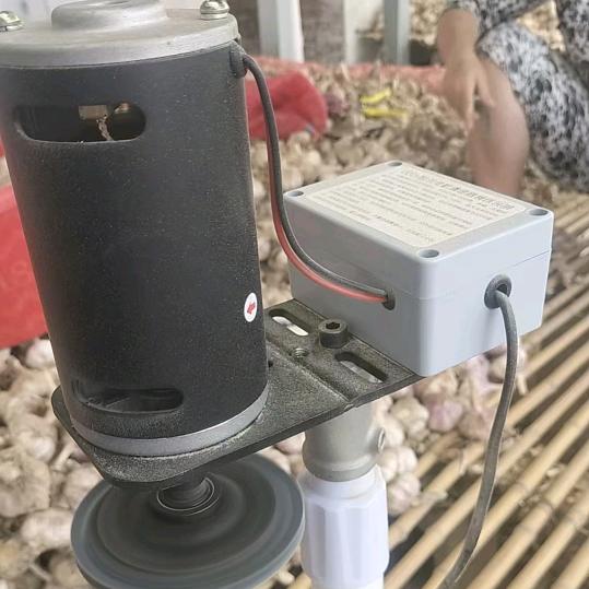 大蒜磨毛器