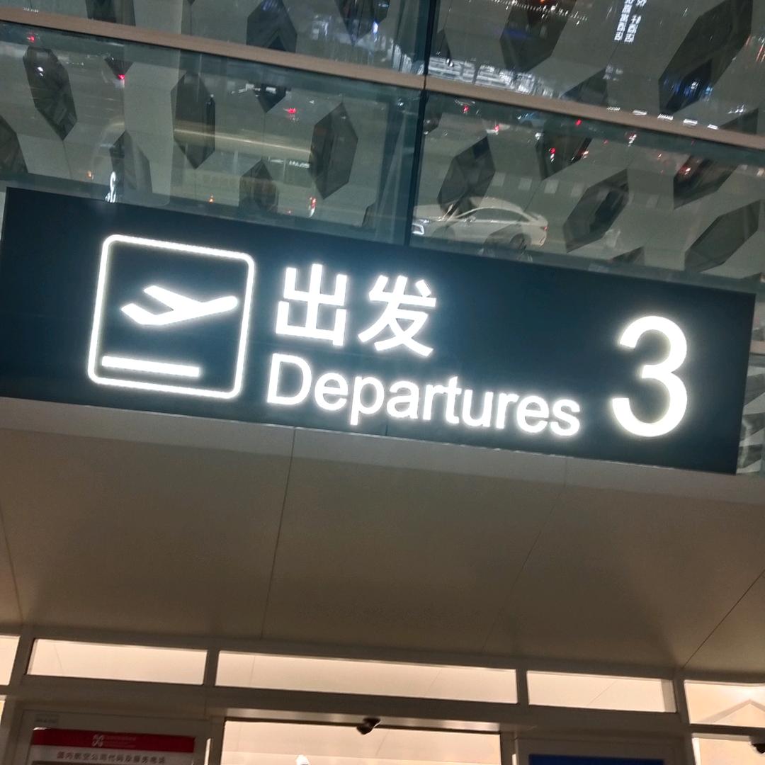 浪迹天涯 随风飘荡