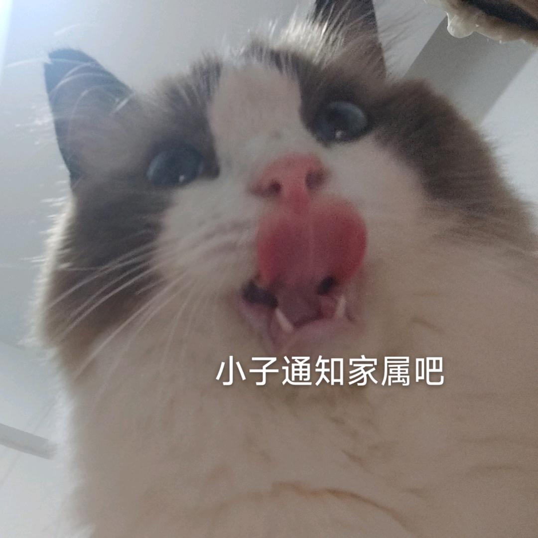 seeyou