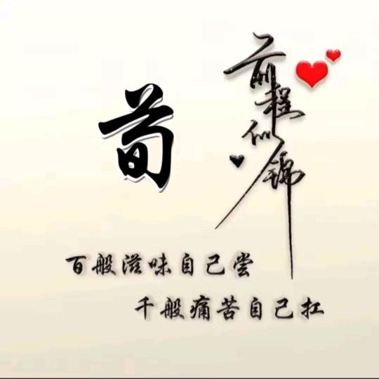 专业维修燃气壁挂炉。热水器及水暖安装维修