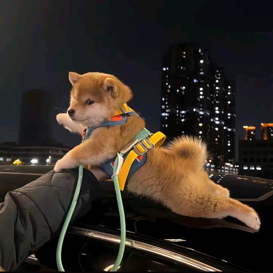 江東