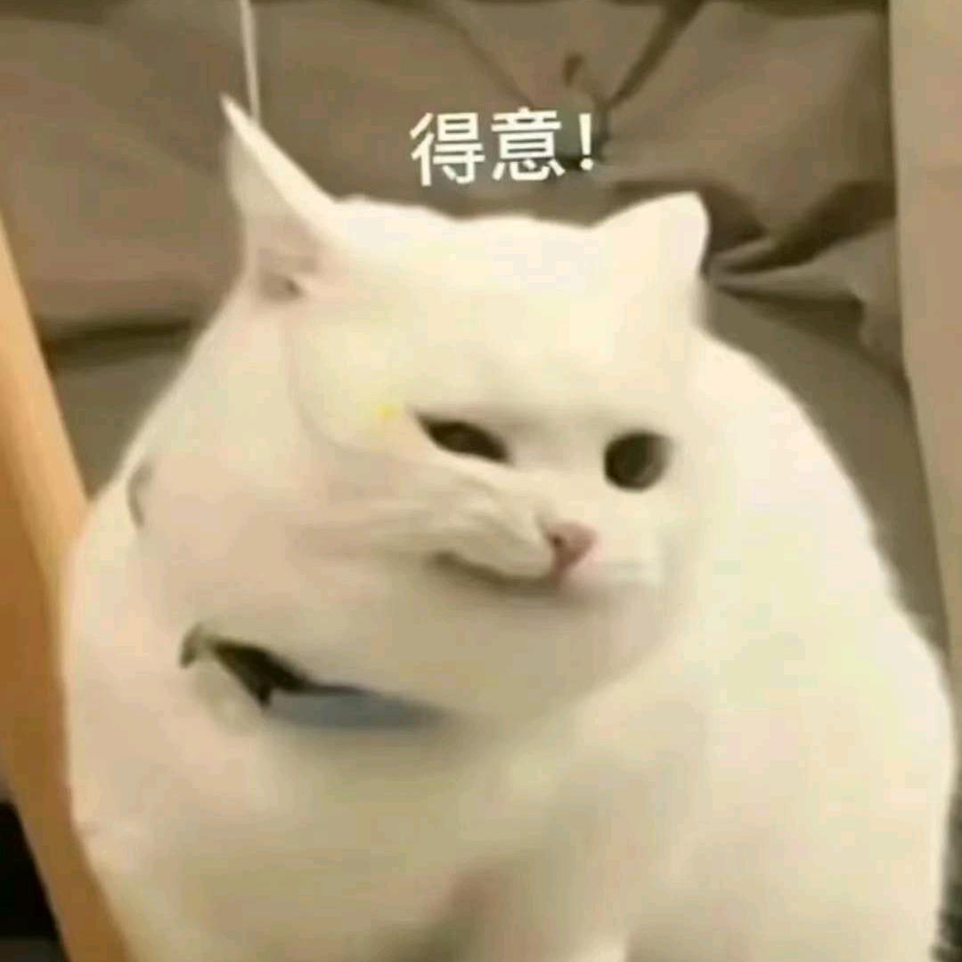 我盯着你呢