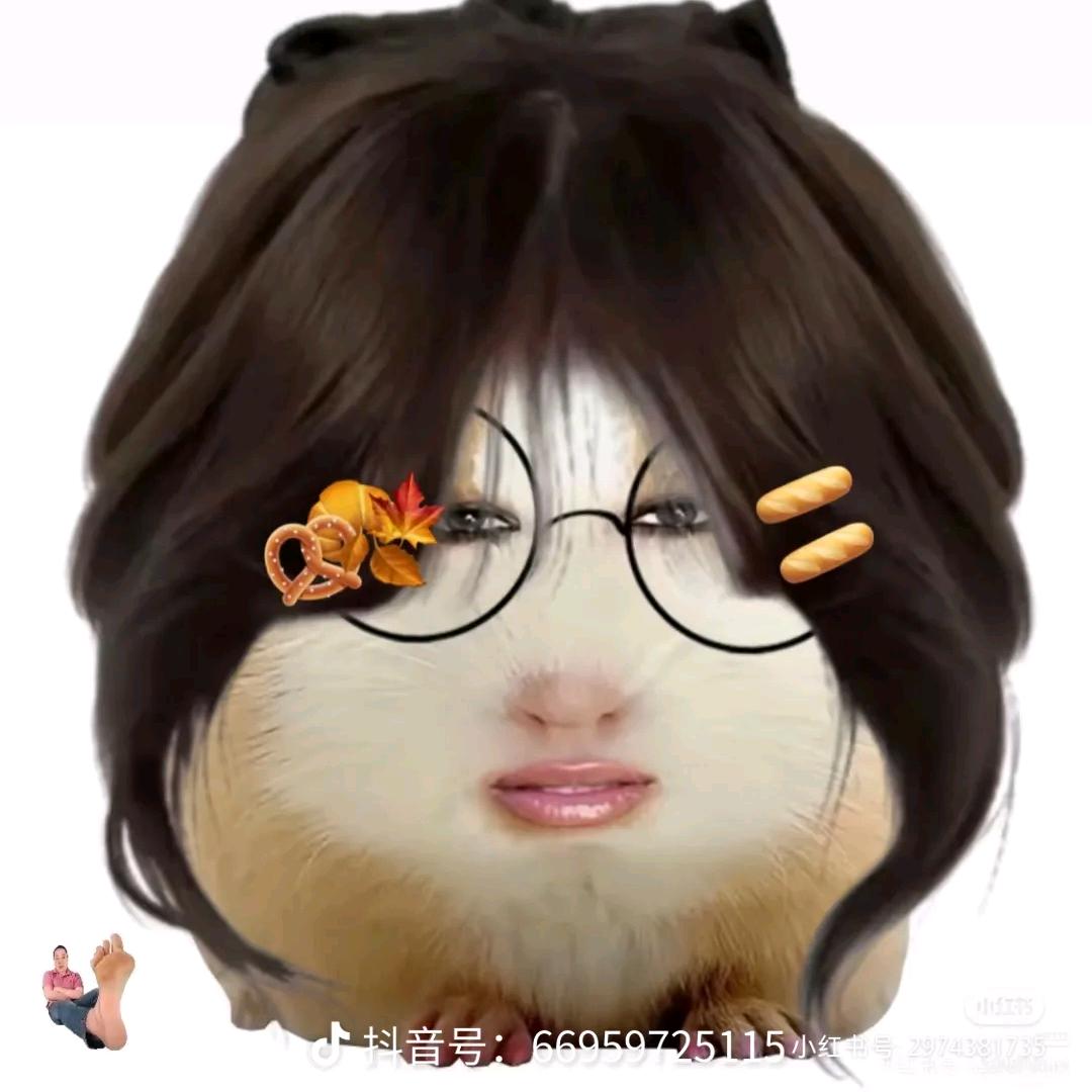 星芒丨桃子( ﹡ˆoˆ﹡ )