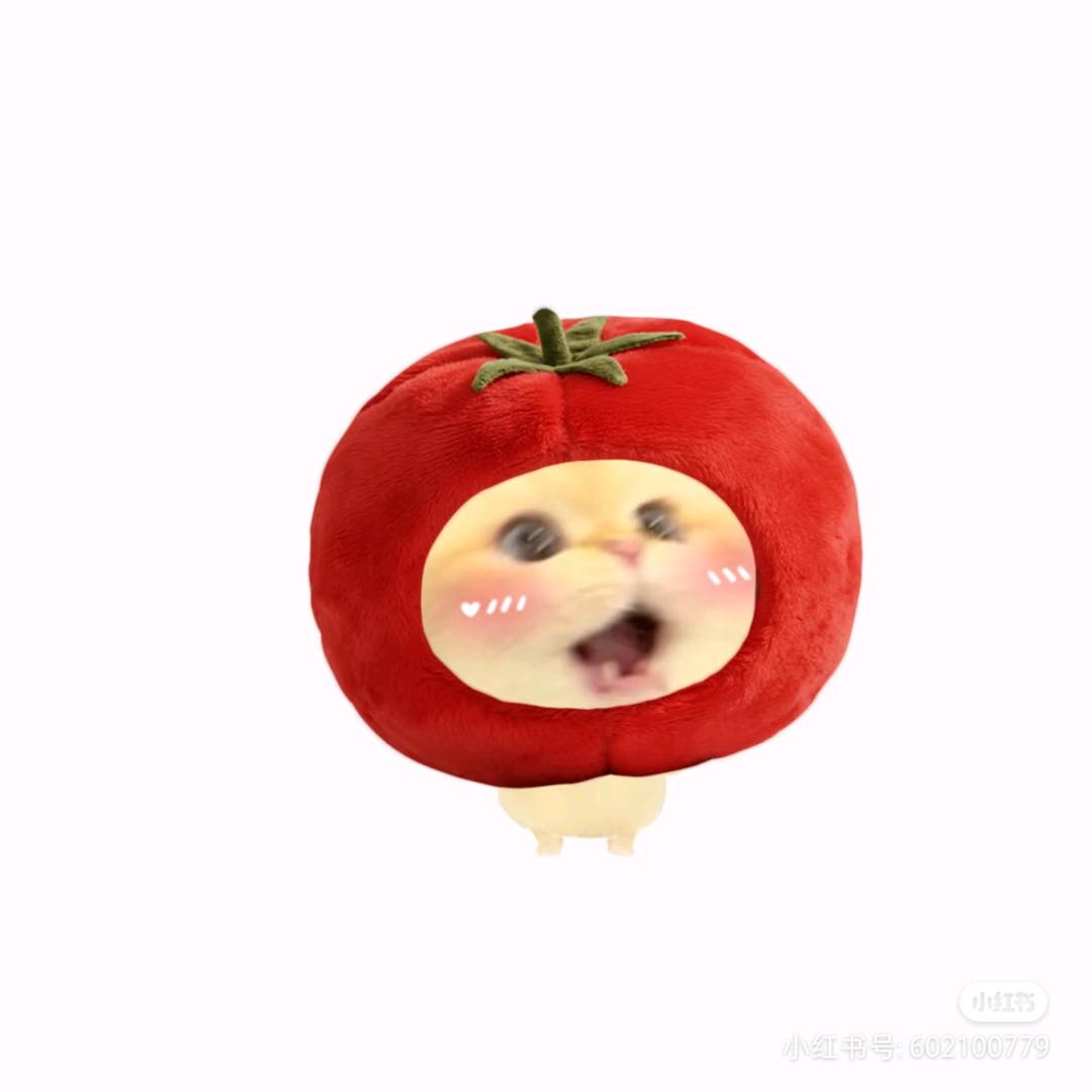 饭饭之辞