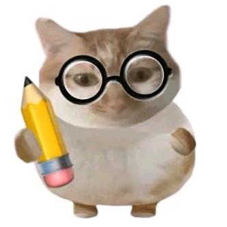 狡猾的学生党66