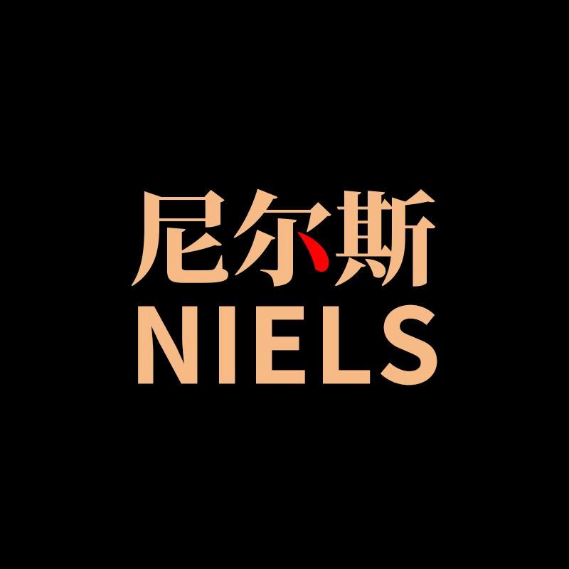 Niels尼尔斯