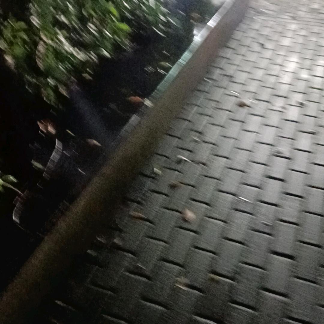 死心放弃了