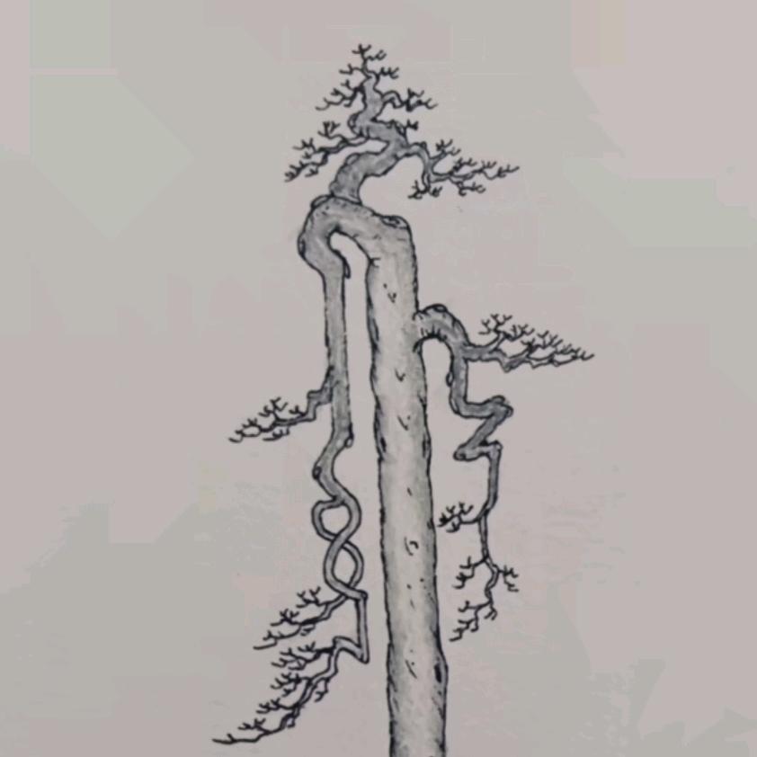 金弹子小刀