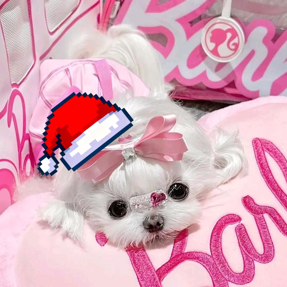 清纯男高爱小狗🐶