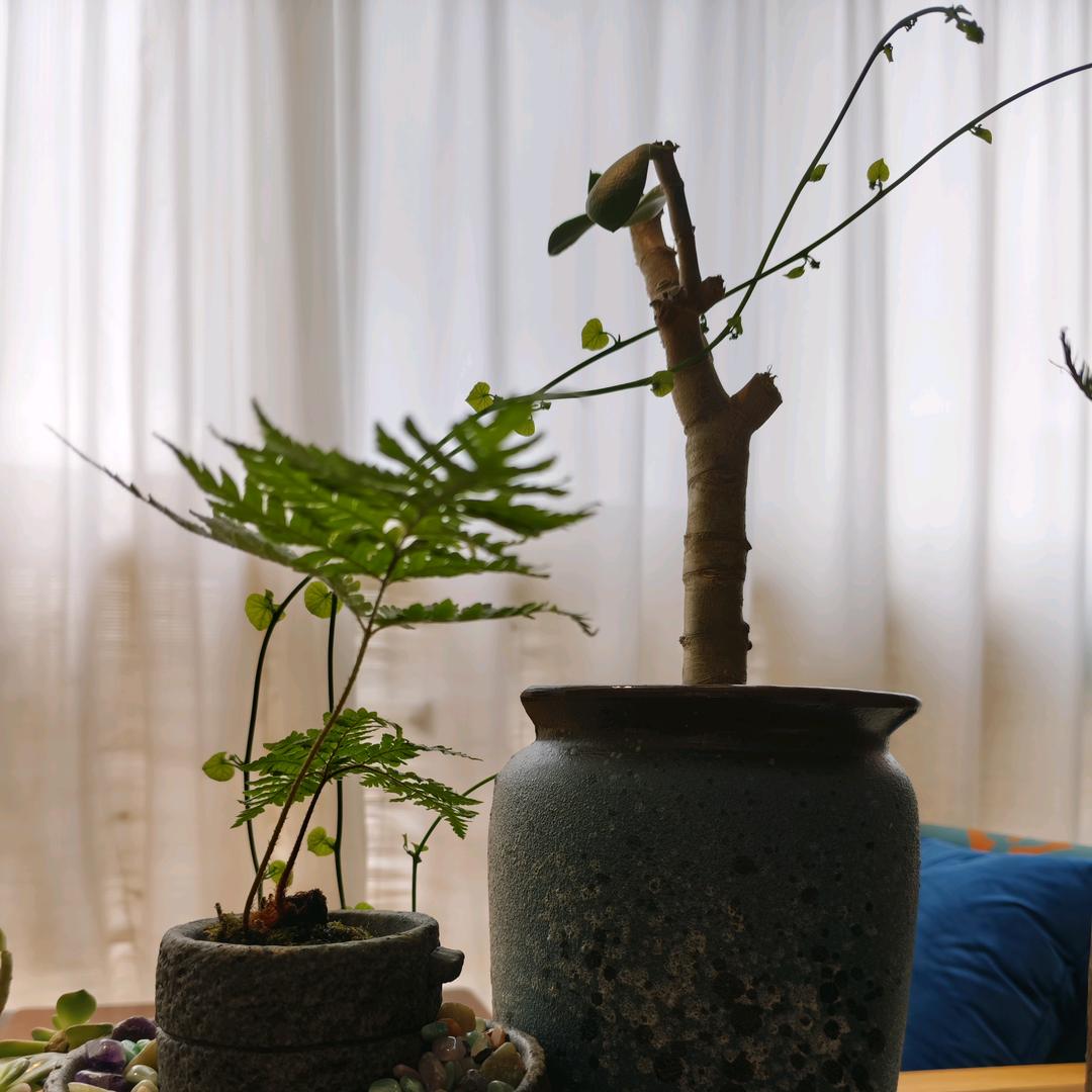 不闲