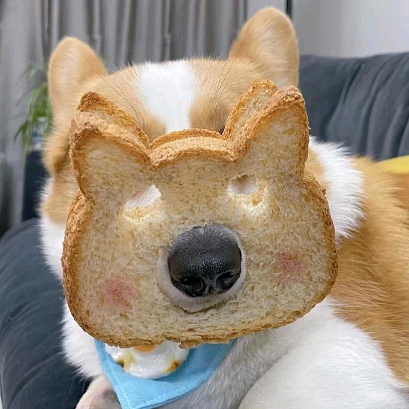 柳入朝