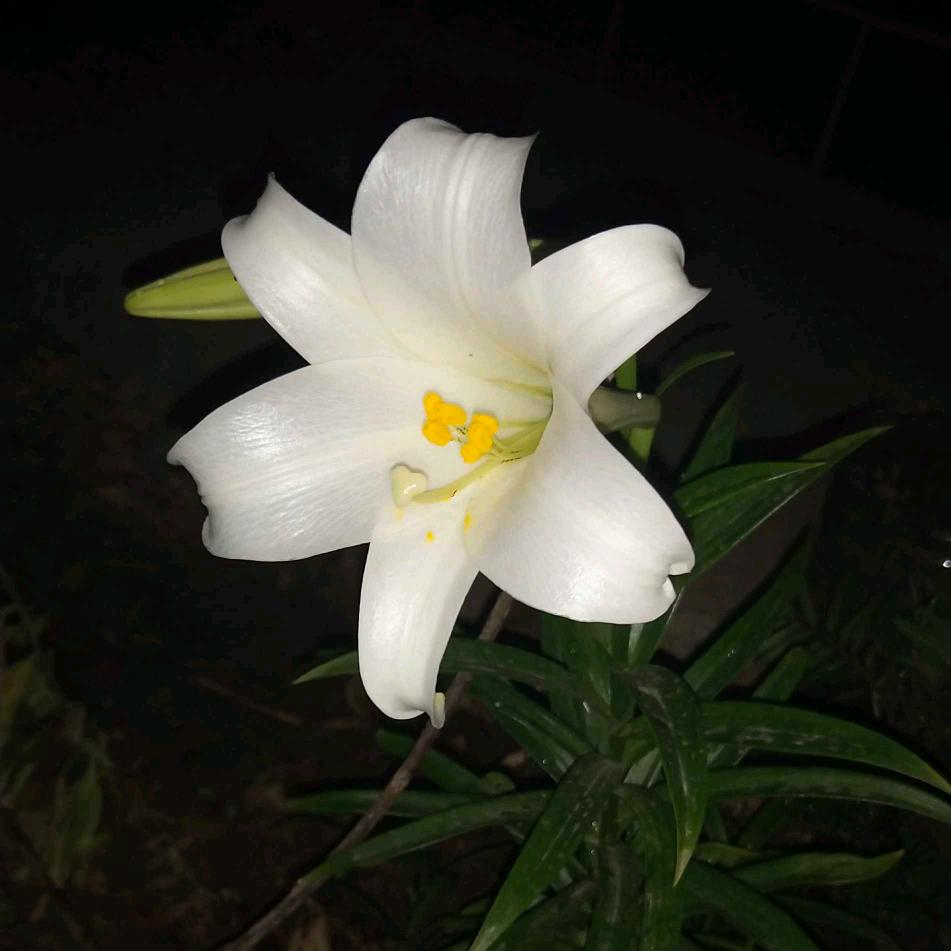 12 小小