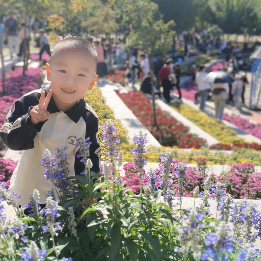 桉桉是只小可爱