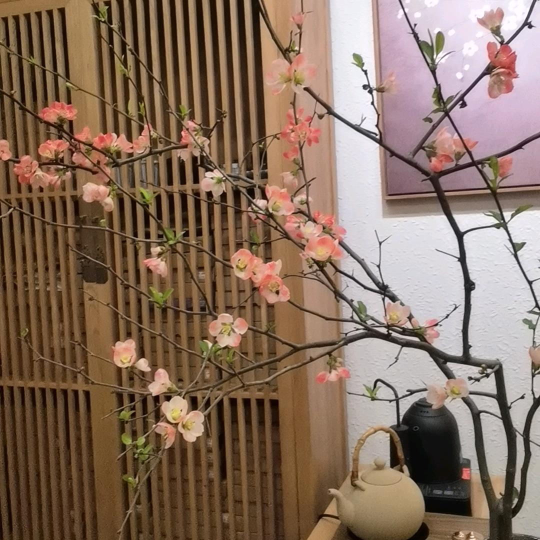 渏玲