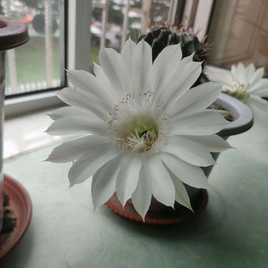 孤独走在人生路