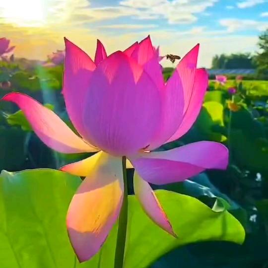 平平淡淡过一身