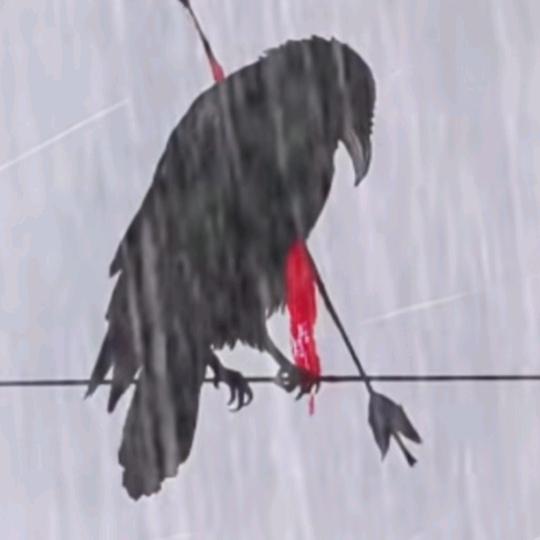 (╥╯雷╰╥)㿝氼