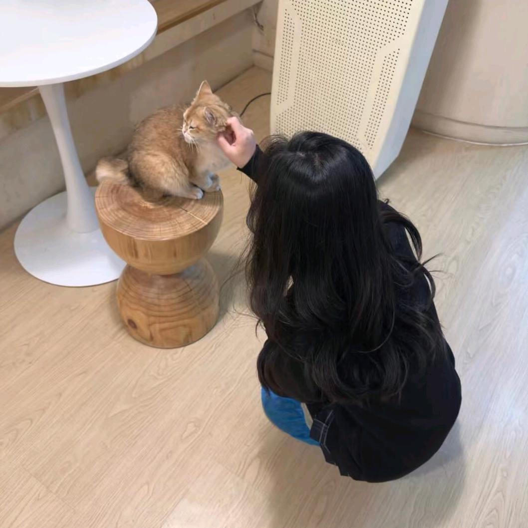 翻了个茄