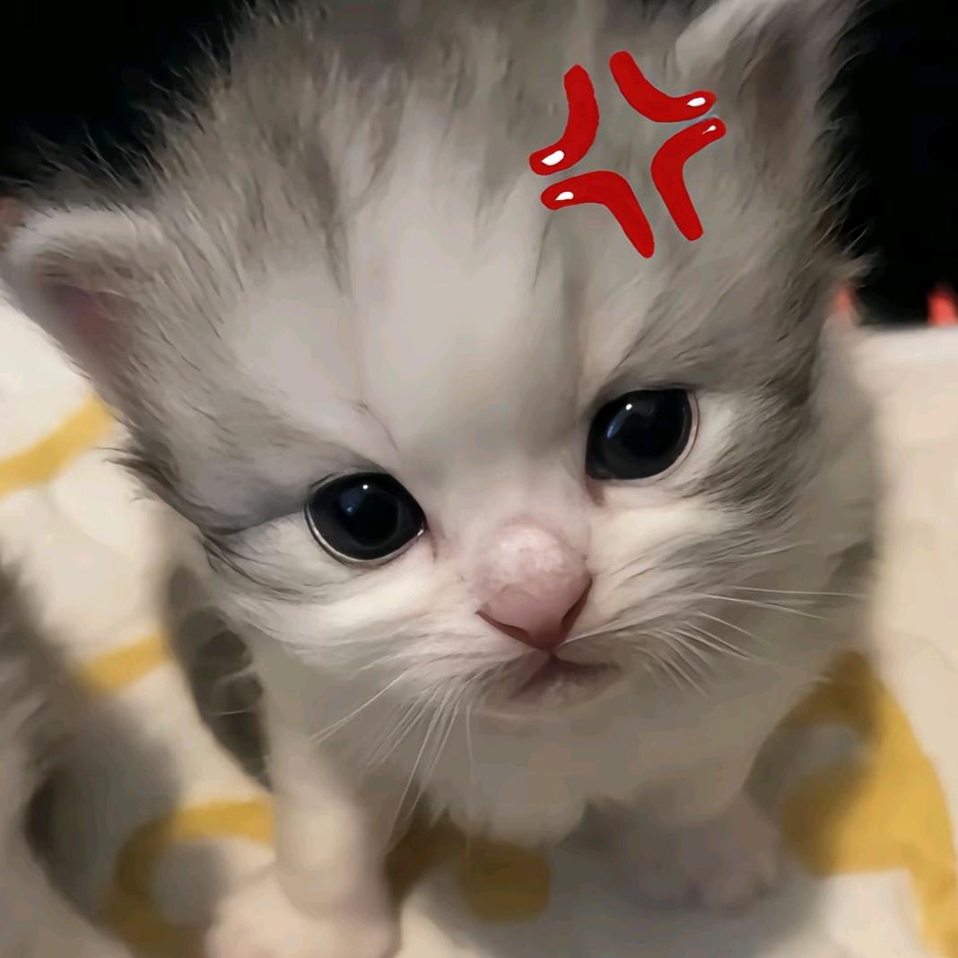 呆萌小依