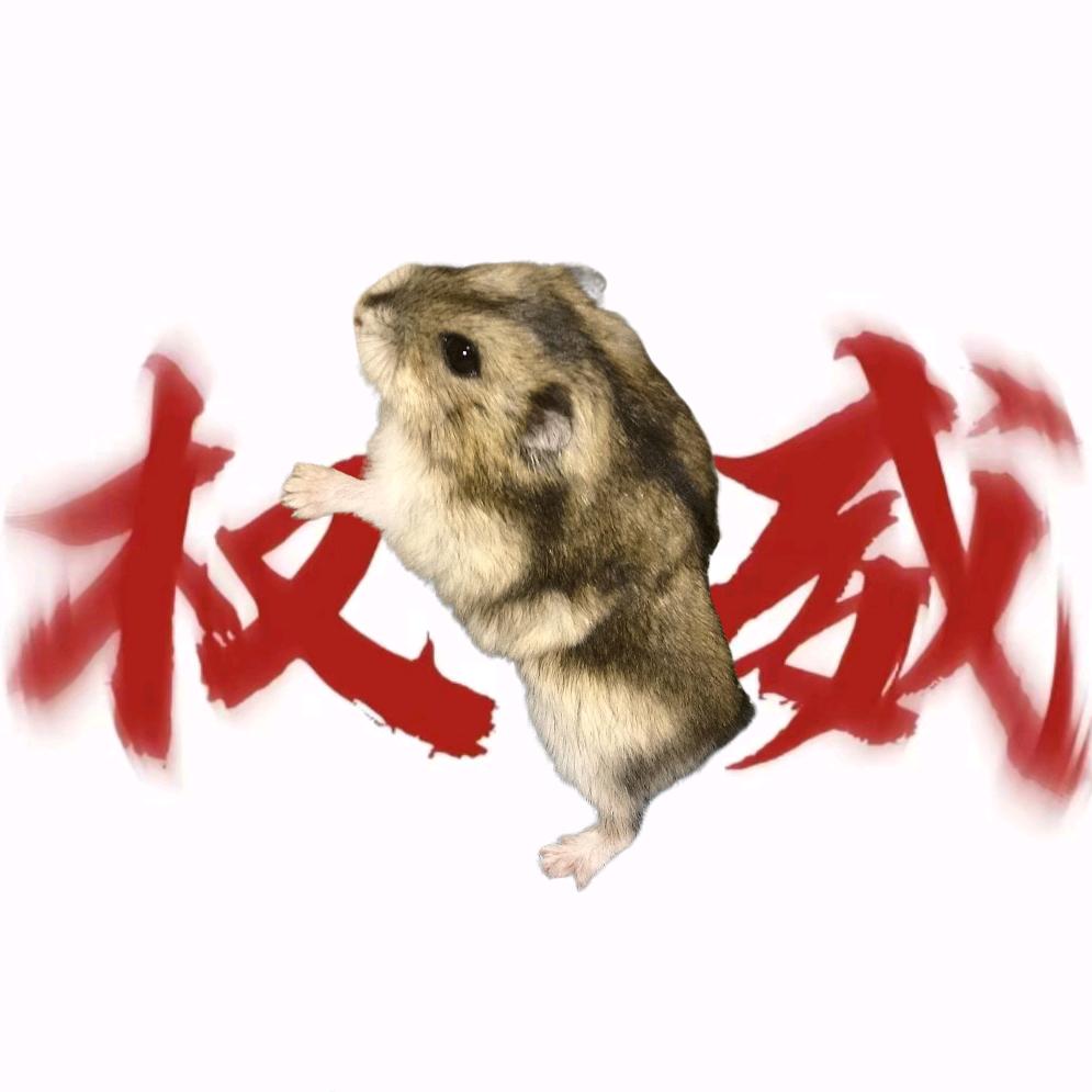 哈基鼠