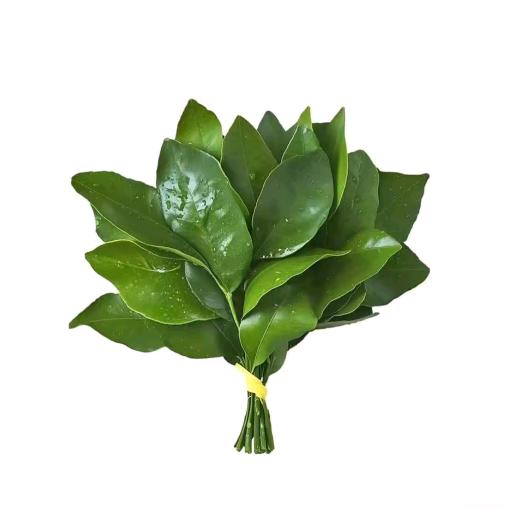 喜欢炸炸鱼