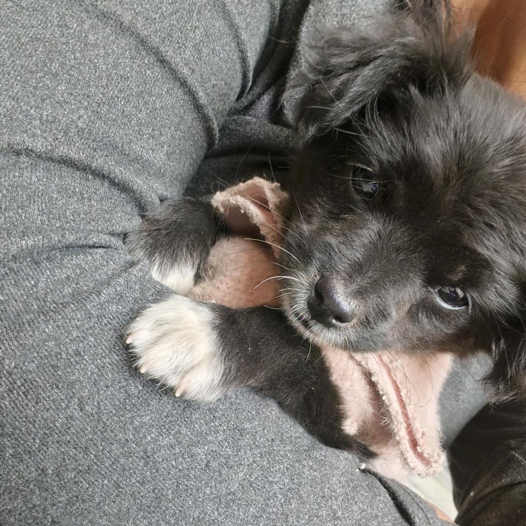 ๑ᵒᯅᵒ๑            ᜊ꒦ິ