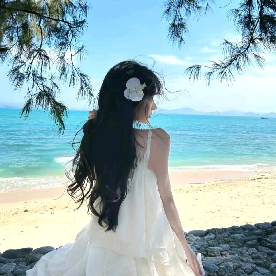 少仙夏夏~~龙华网络