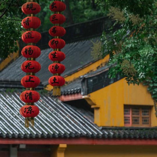 嵇後大师兄