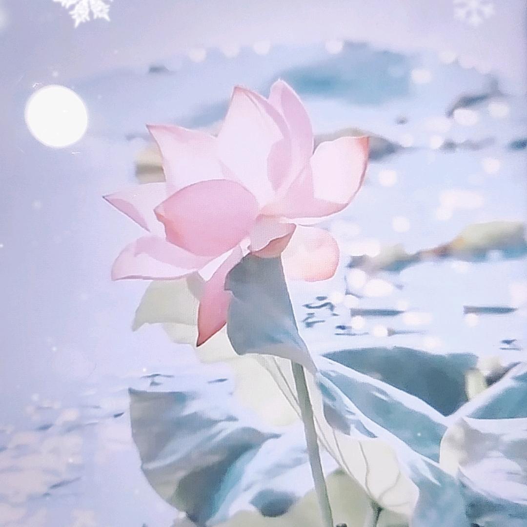 许月仙