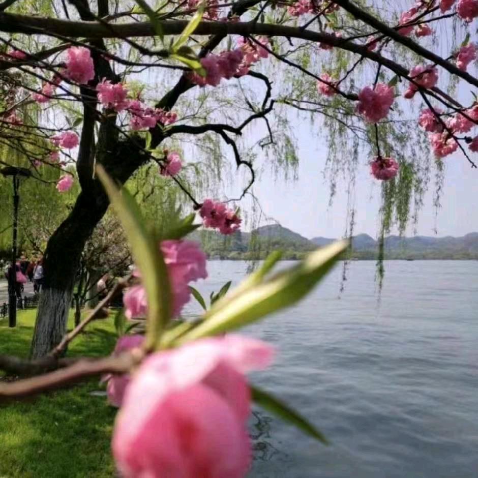 用户6227856135514，8.29