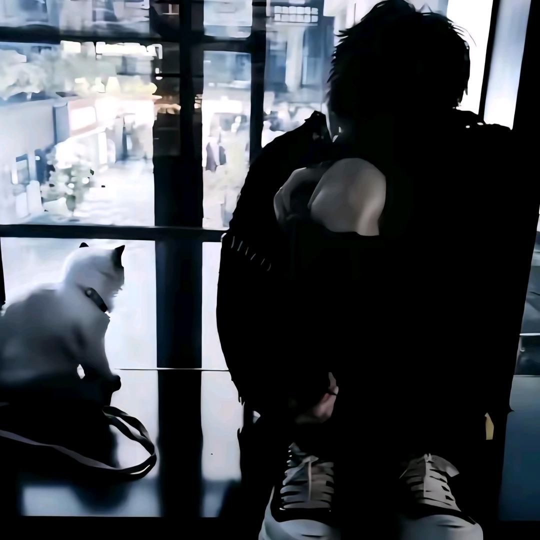 ￴ ￴ ￴￴ ￴ ￴ ￴