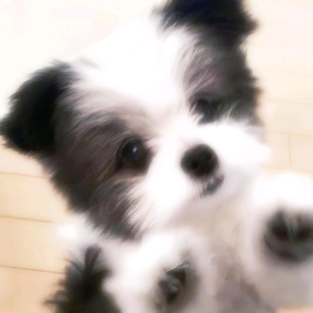 じ☆ve女ㄖ菓罘ā!埥別殇嗐灬