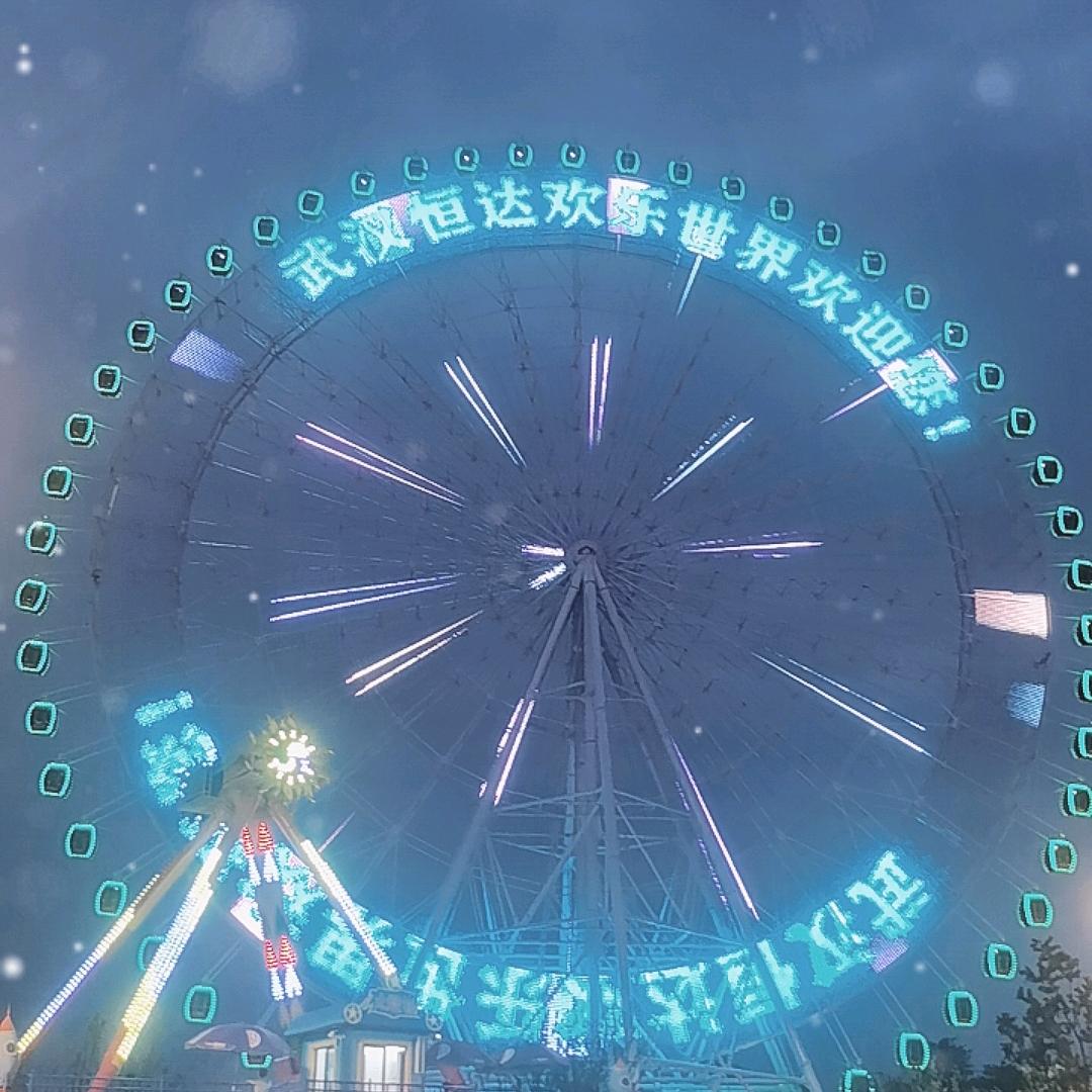欢欢来了