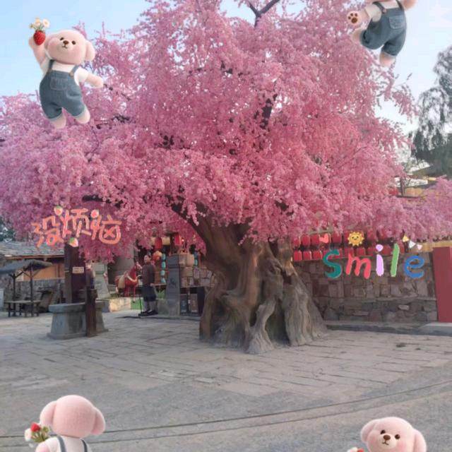 一生只爱你一个