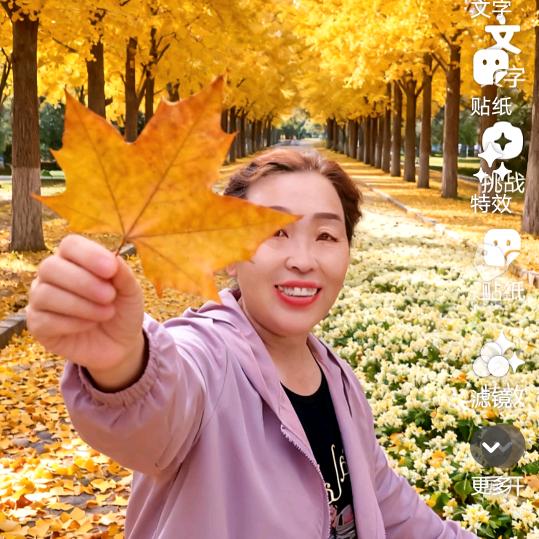 函月（谢绝 秒赞 连赞）