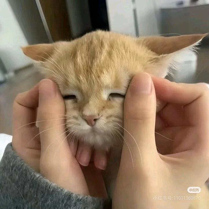 aaa不死川萩饼批发