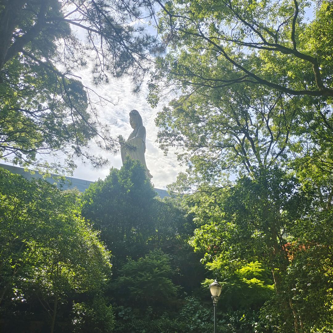 大眼小眼🇨🇳
