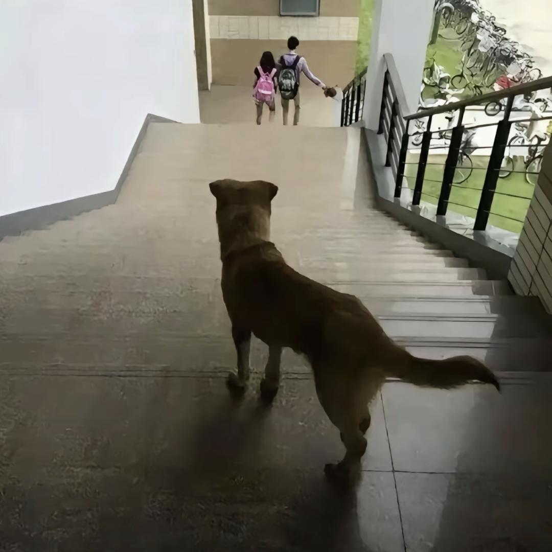超凡研究生