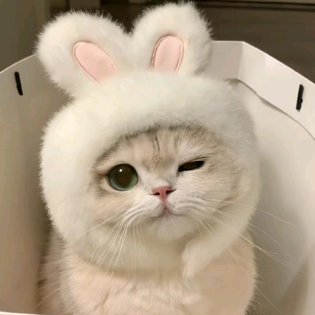 娜拉