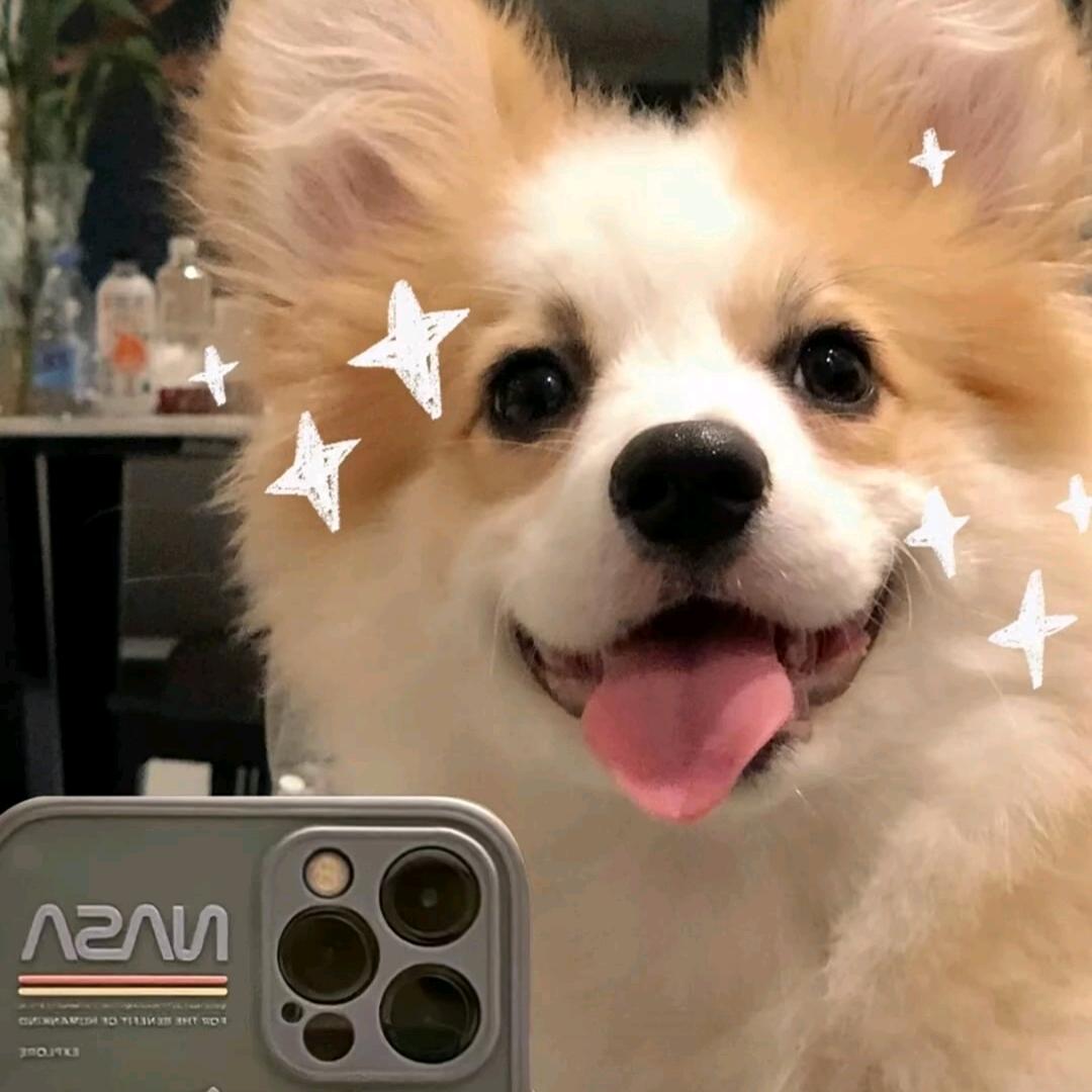 老金. 鸭脖