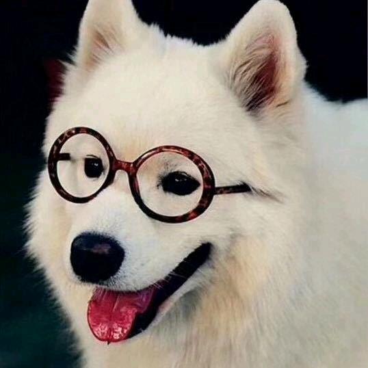 胡南
