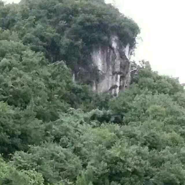 易可零食